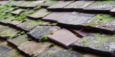 Lydbury North roof repair costs